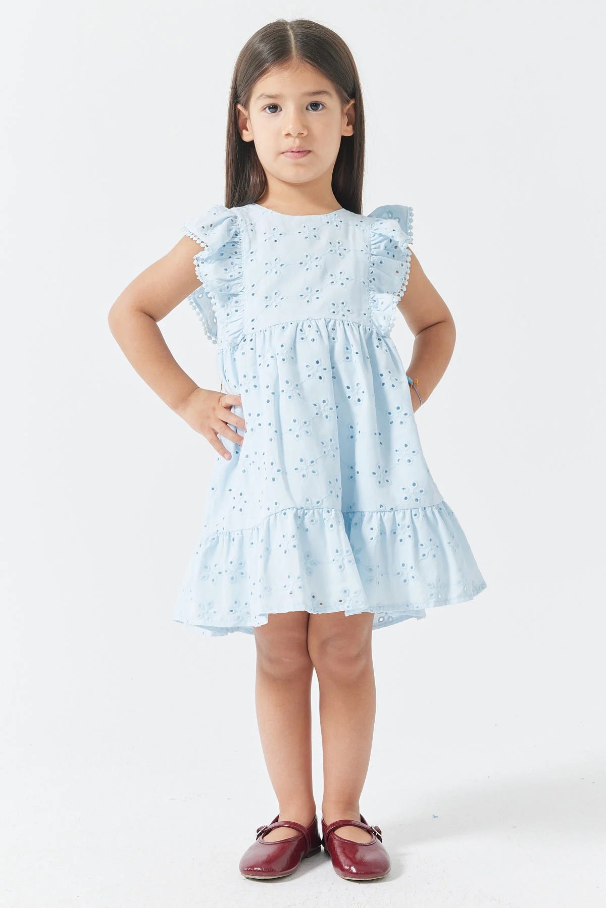 Girl's Dress with Ruffles and Embroidery Details