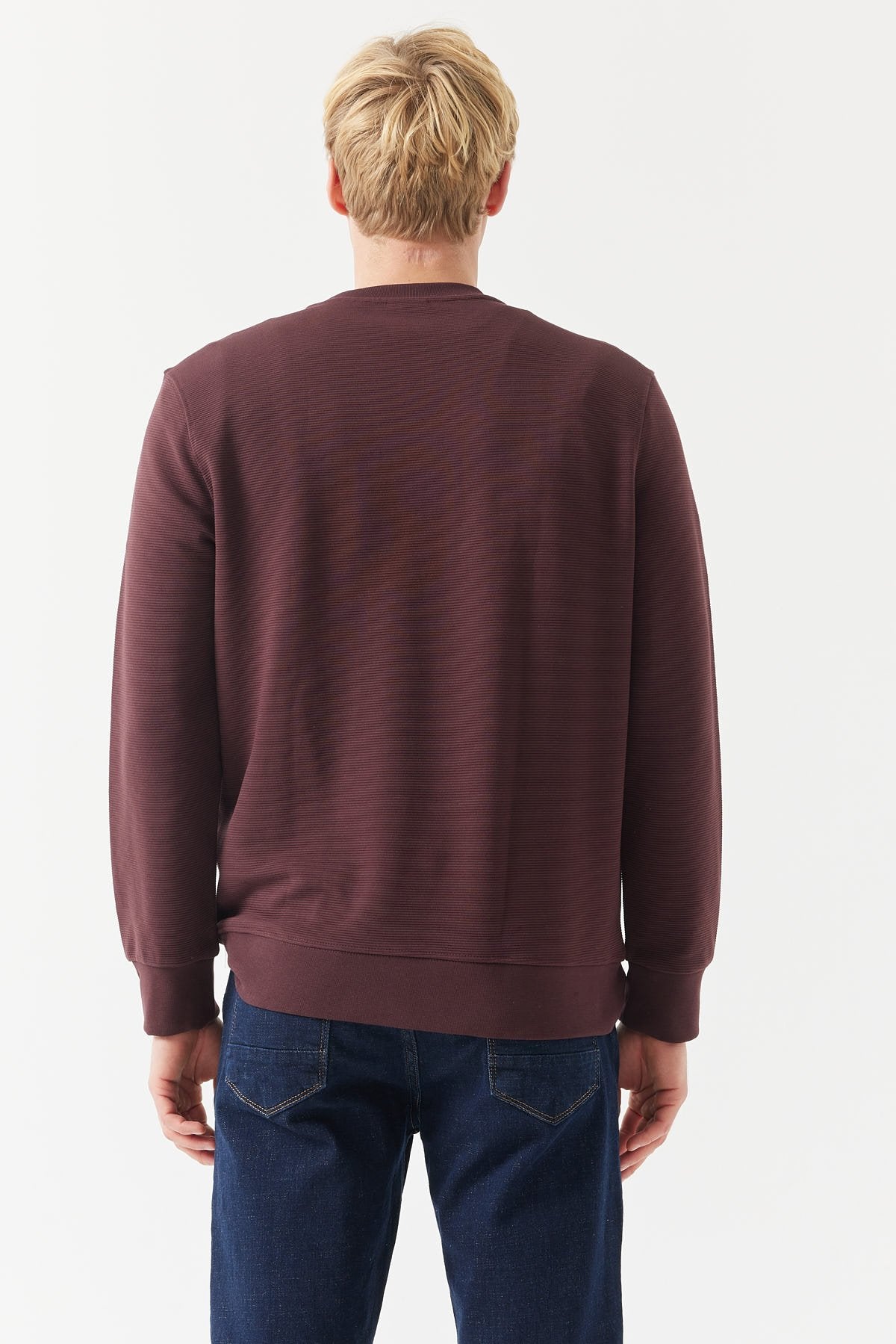 Men's Basic Sweatshirt