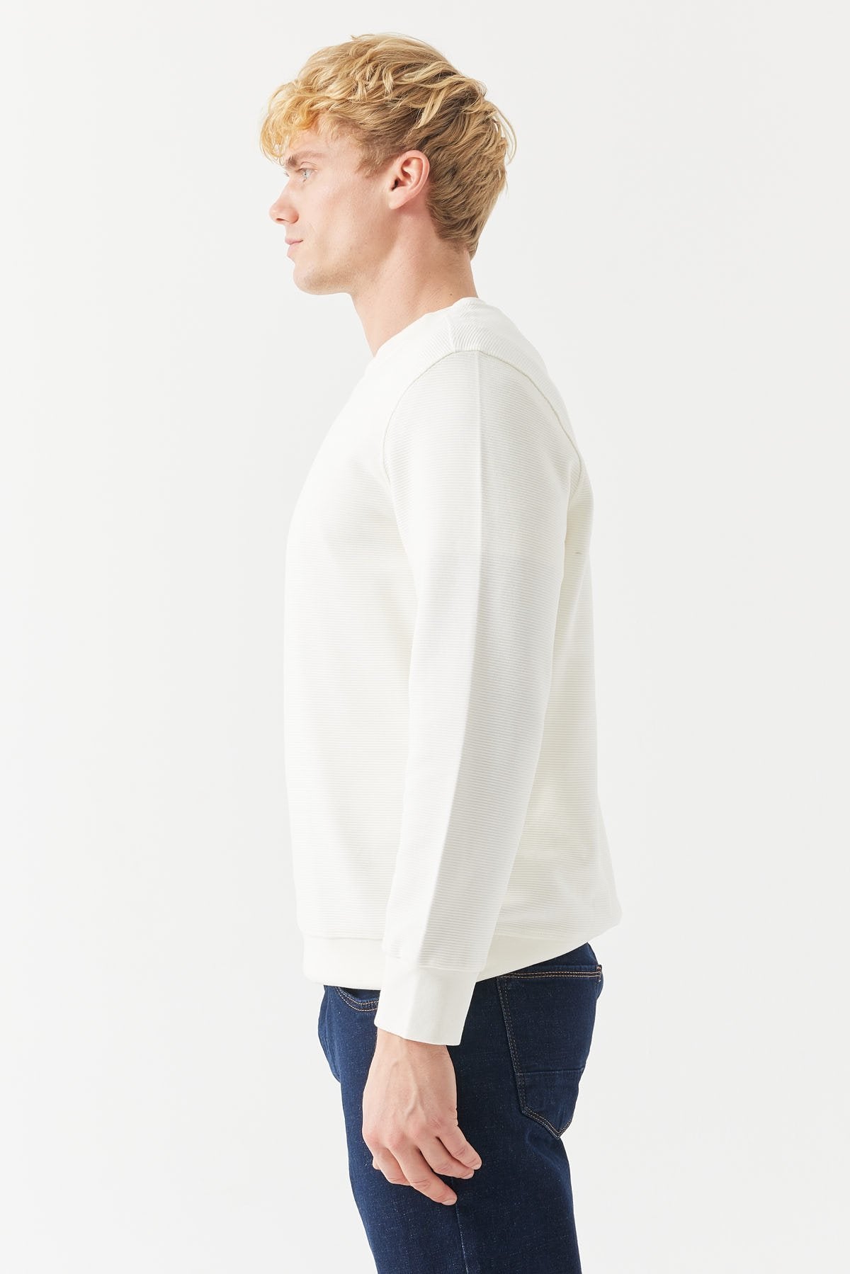 Men's Basic Sweatshirt
