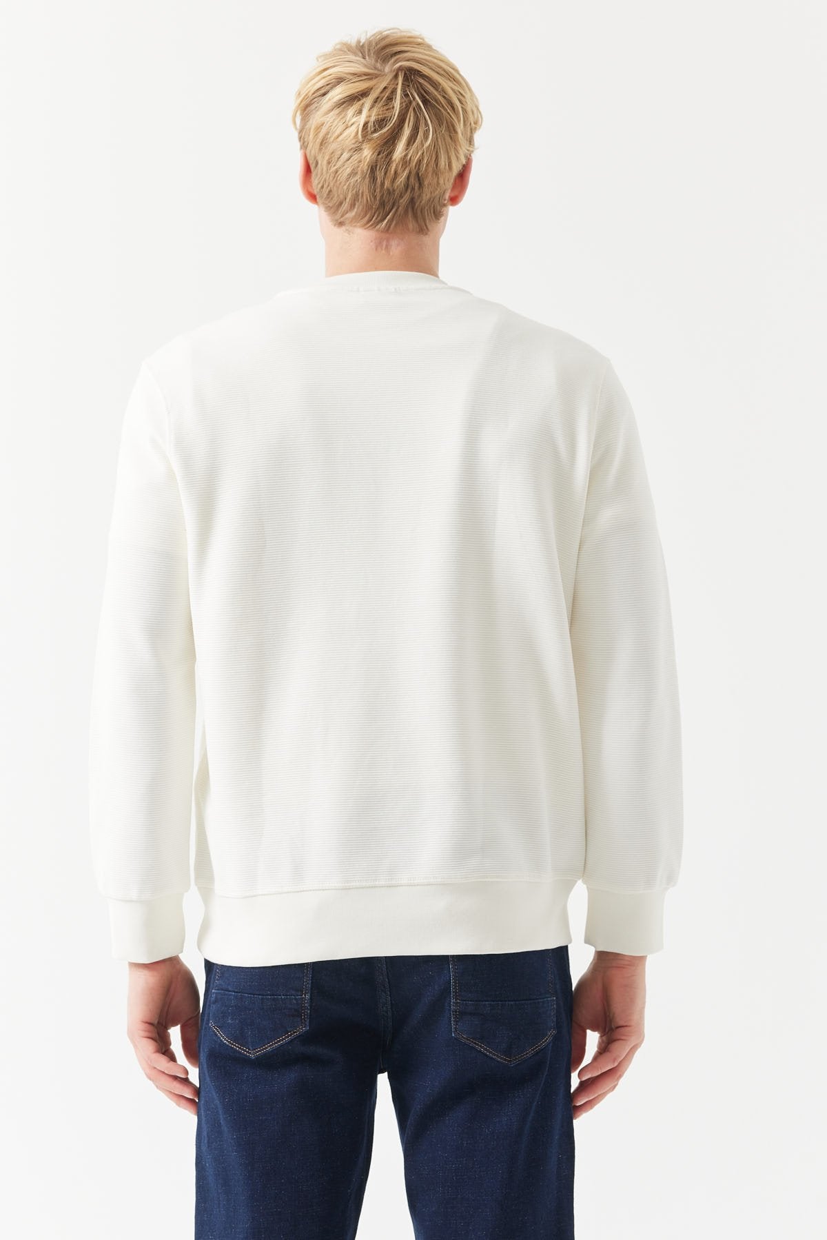 Men's Basic Sweatshirt