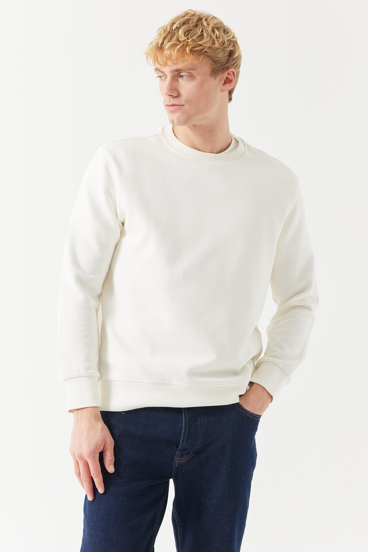 Men's Basic Sweatshirt