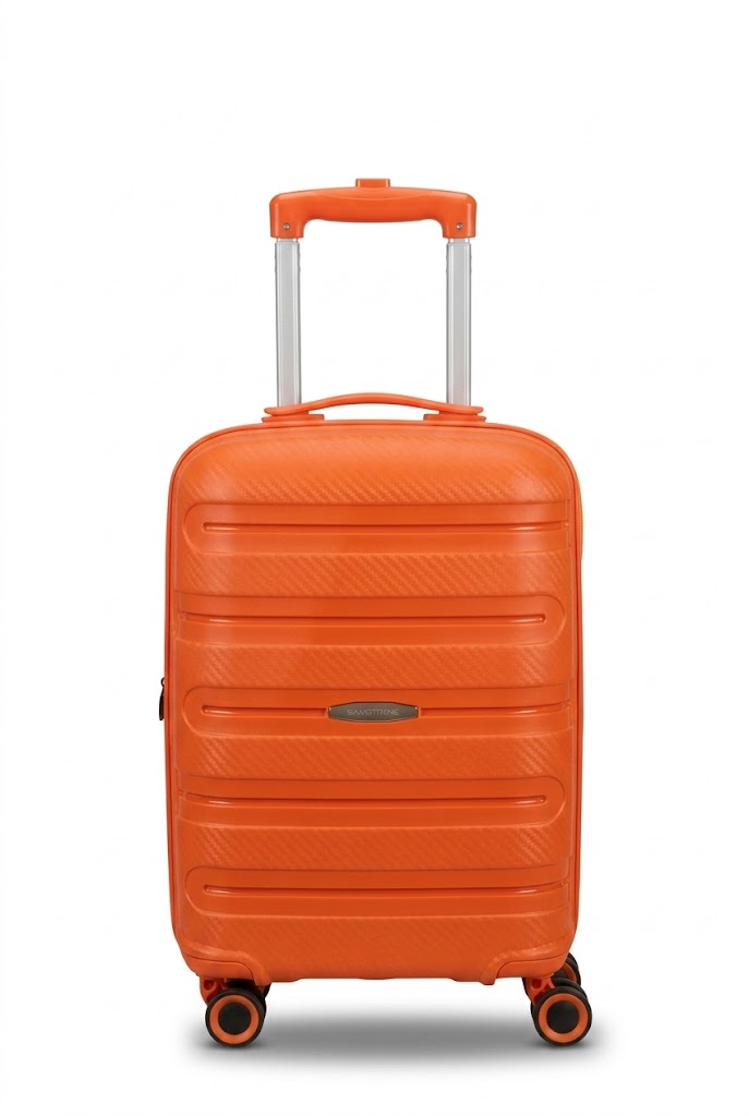 PAULMARK EXPANSION LUGGAGE
