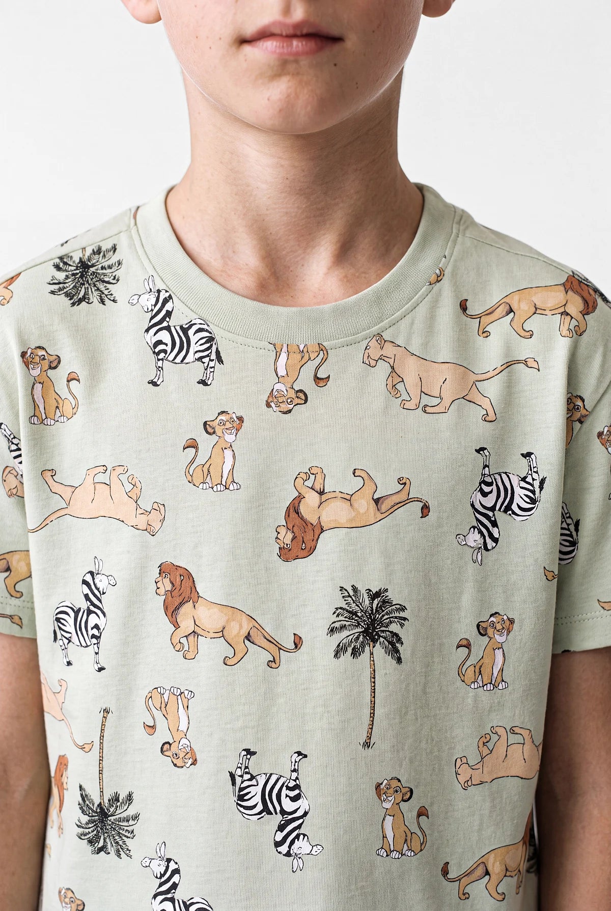 Boys' Crew Neck Printed Shorts Pajama Set