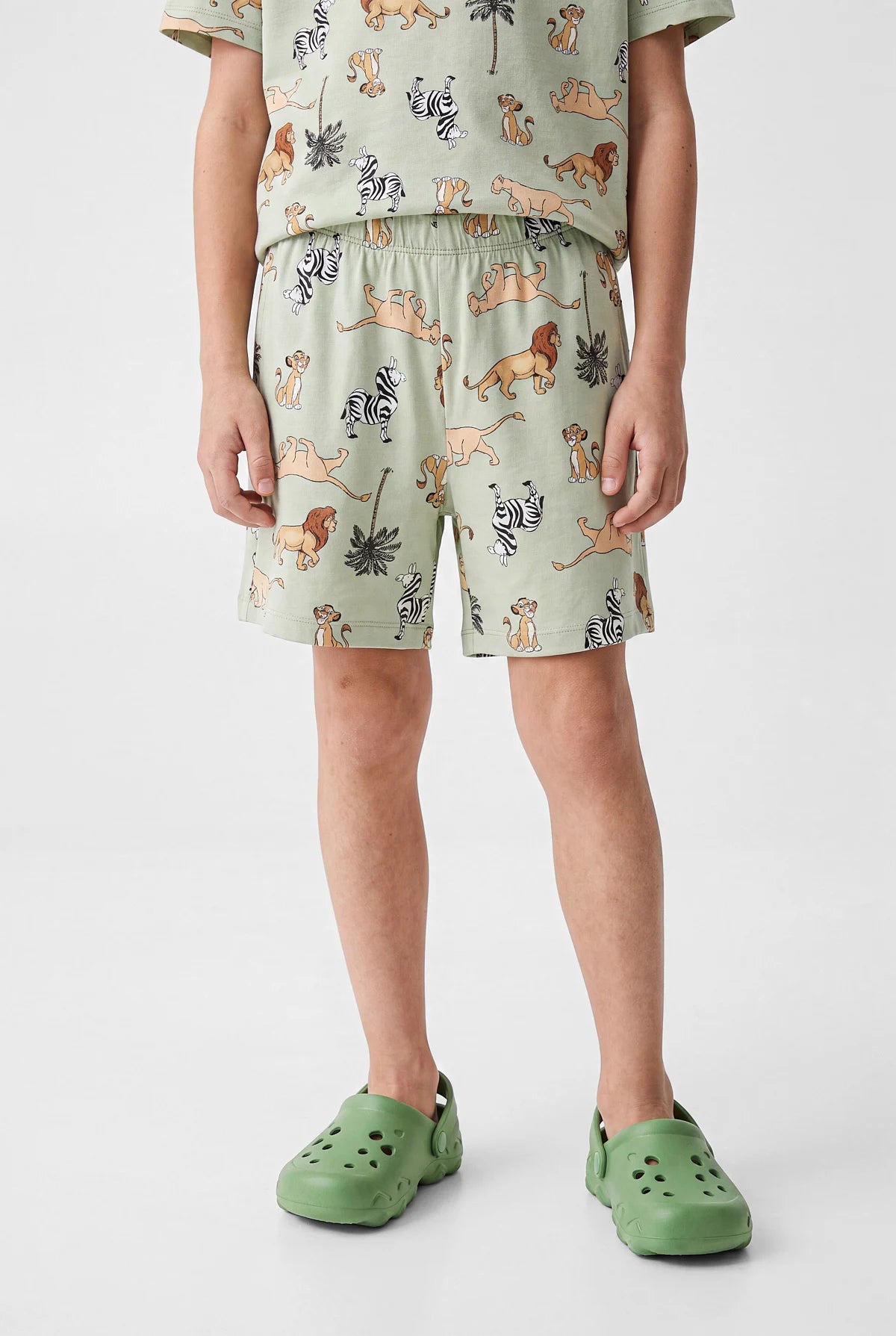 Boys' Crew Neck Printed Shorts Pajama Set