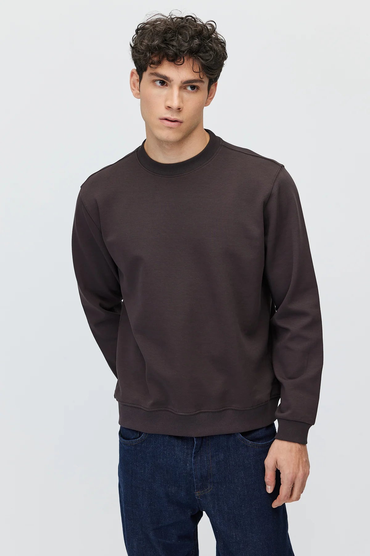 Men's Crew Neck Basic Sweatshirt