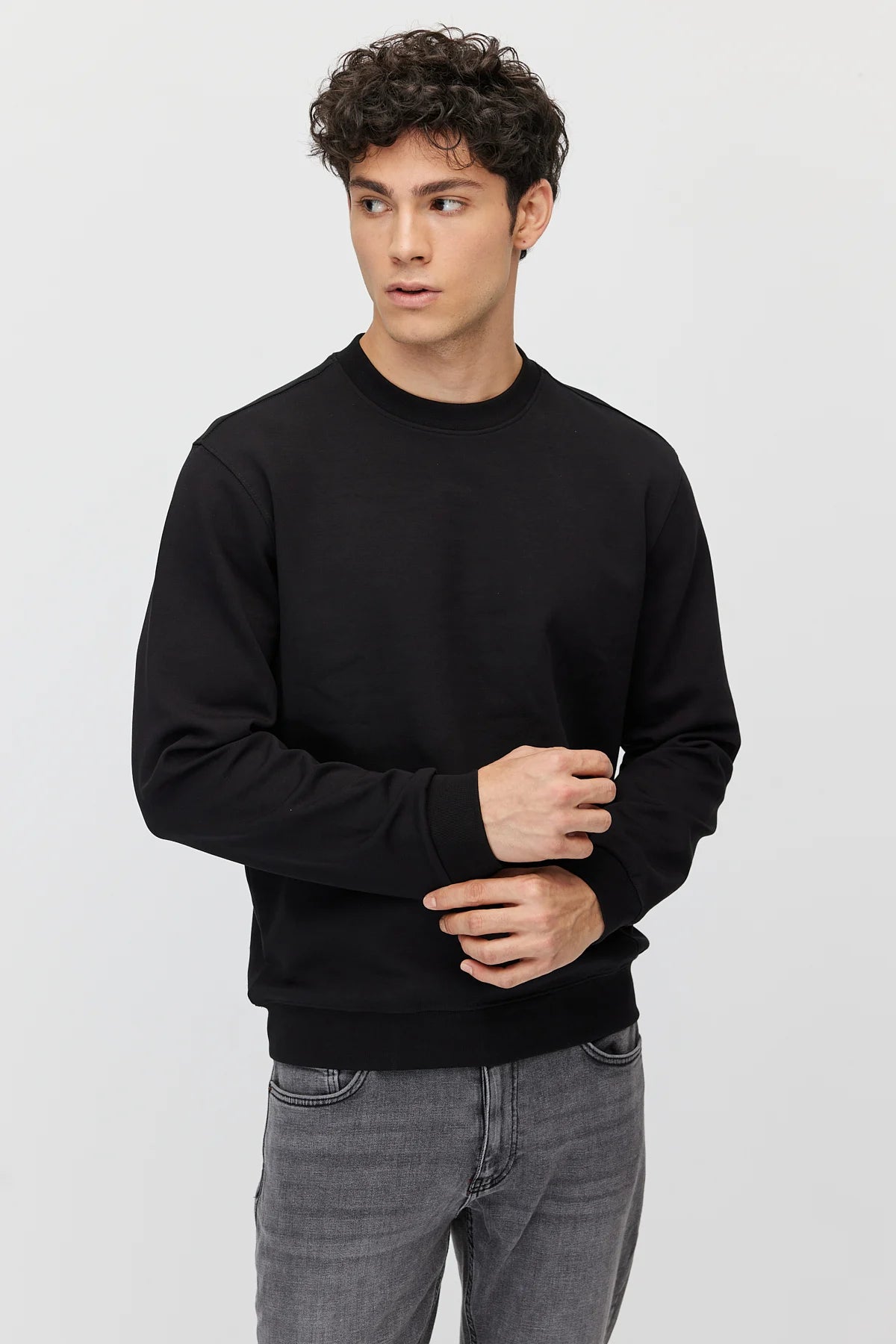 Men's Crew Neck Basic Sweatshirt